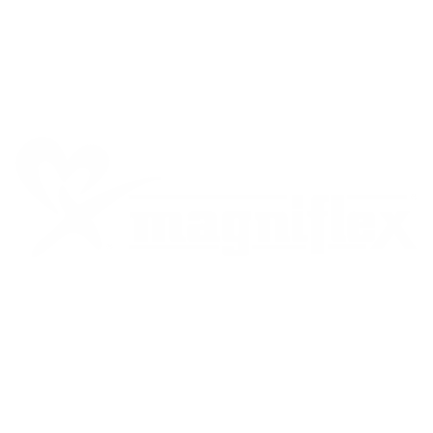 Magniflex