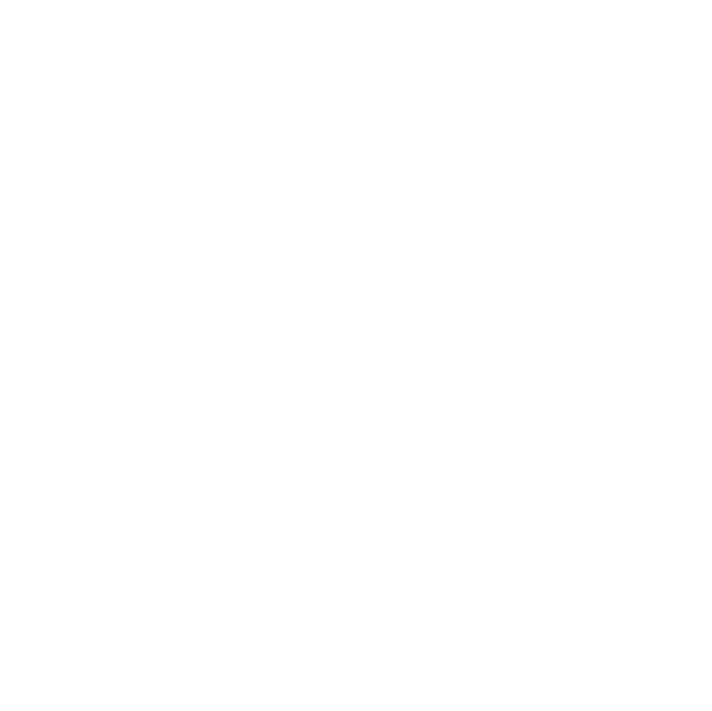 MaxDivani